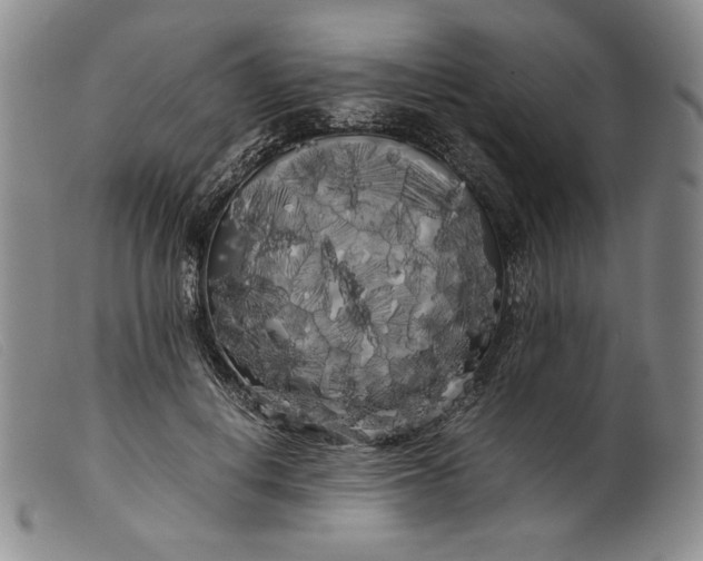 X0000099430648200805231654