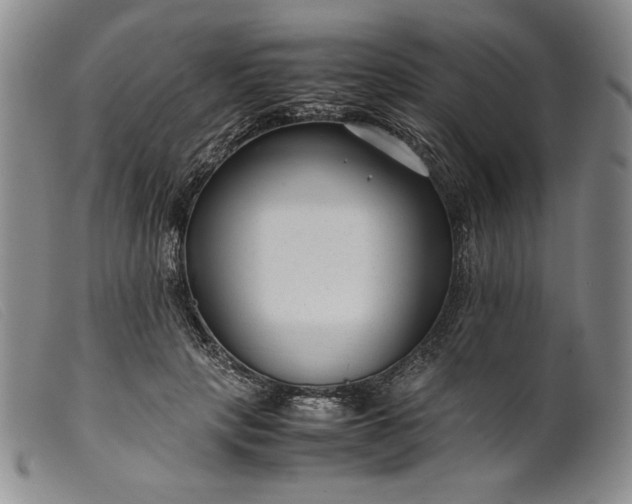 X0000099430649200805231654