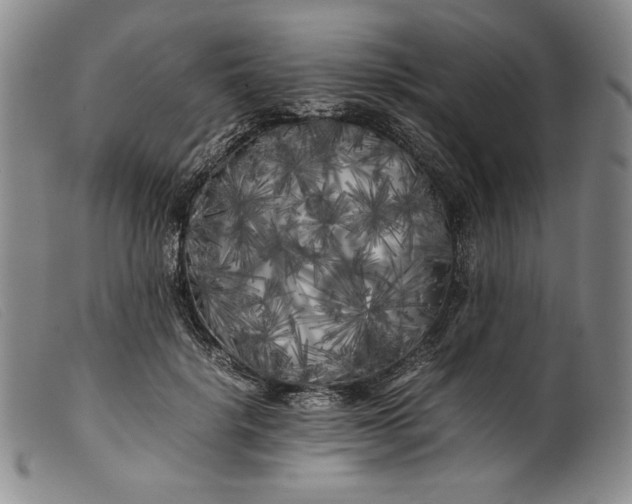 X0000099430652200805231654