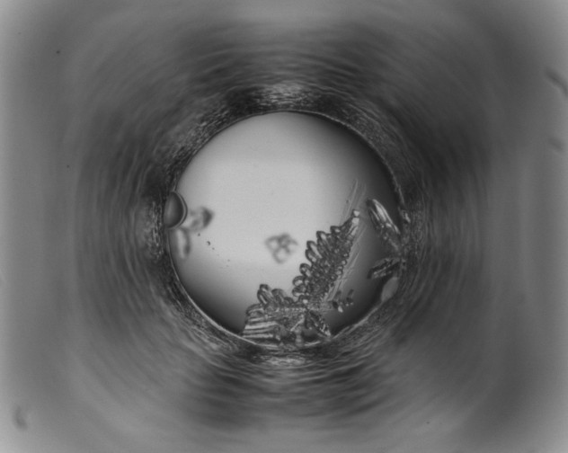 X0000099430653200805231654
