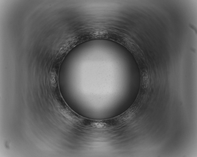 X0000099430654200805231654