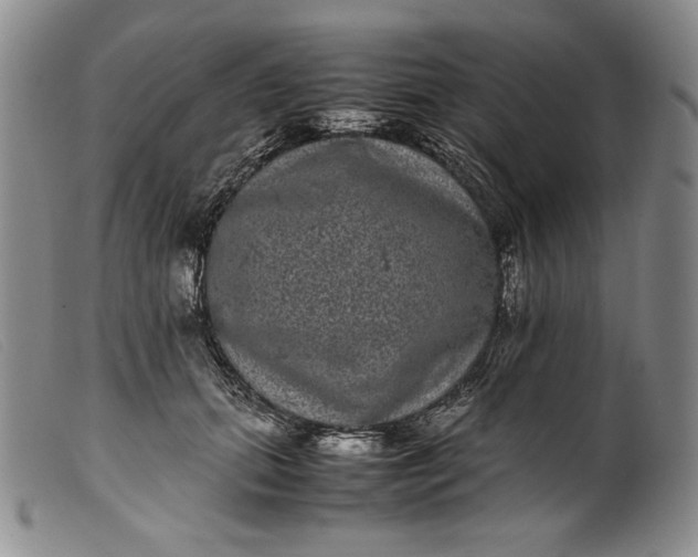 X0000099430655200805231654