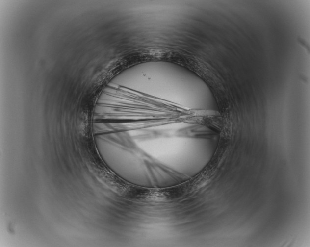 X0000099430656200805231654
