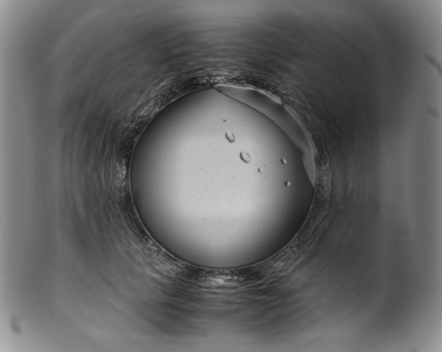 X0000099430657200805231654