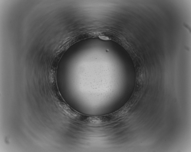 X0000099430658200805231654
