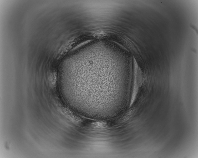 X0000099430660200805231654