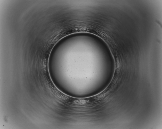 X0000099430661200805231654