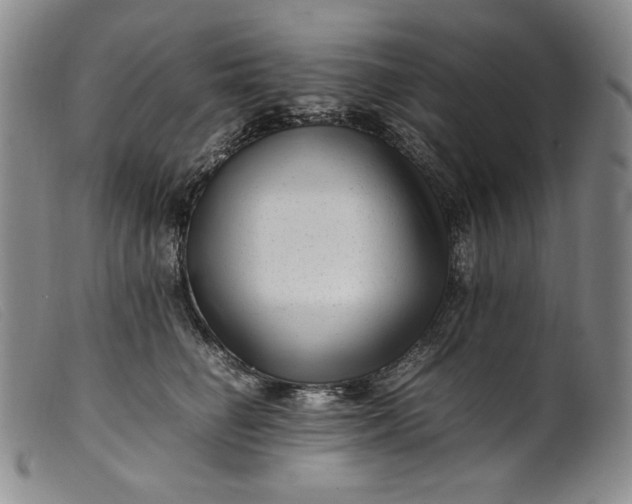 X0000099430662200805231654