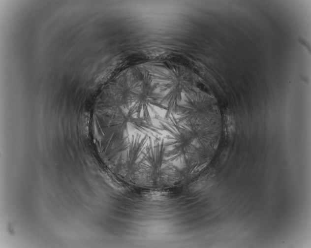 X0000099430664200805231654