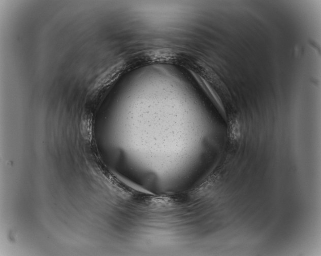 X0000099430666200805231654