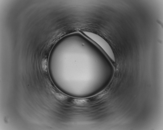 X0000099430671200805231654