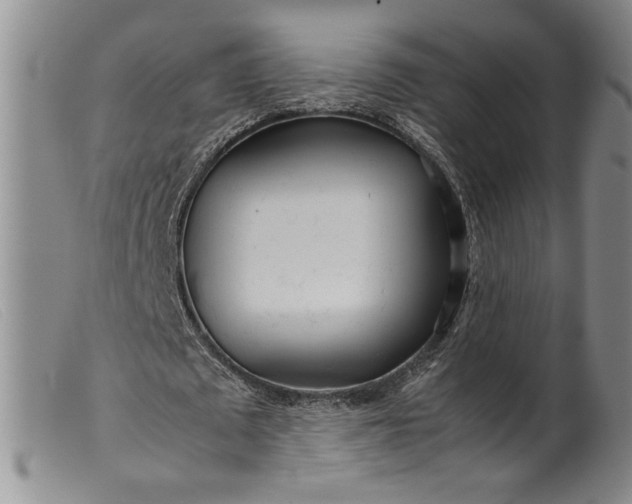 X0000099430673200805231654