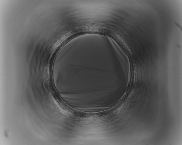 X0000099430674200805231654
