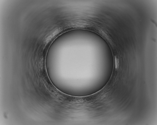X0000099430675200805231654