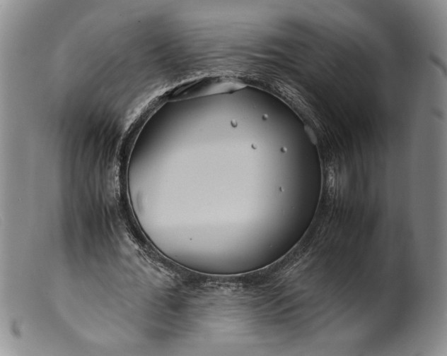 X0000099430676200805231654