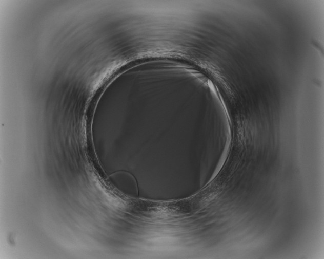 X0000099430678200805231654