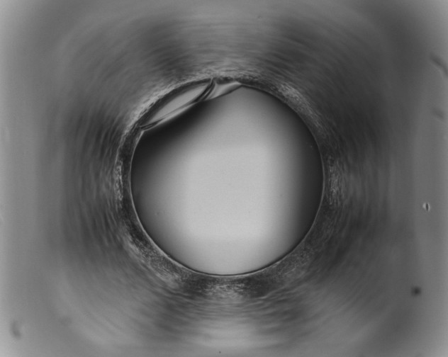 X0000099430680200805231654