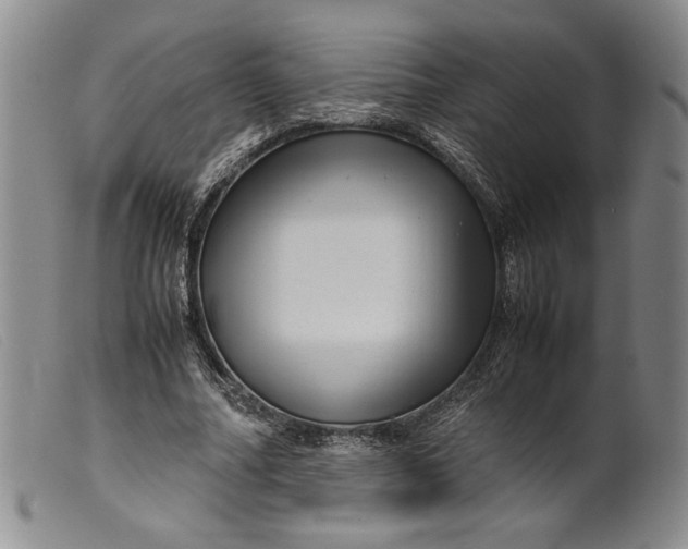 X0000099430682200805231654