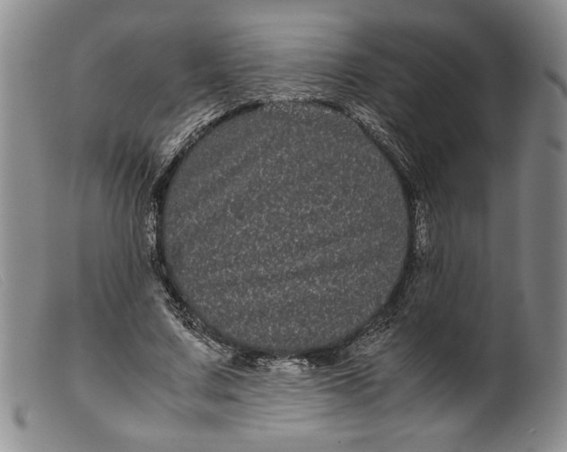 X0000099430683200805231654