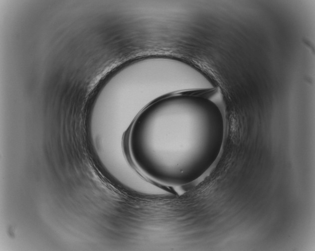 X0000099430684200805231654