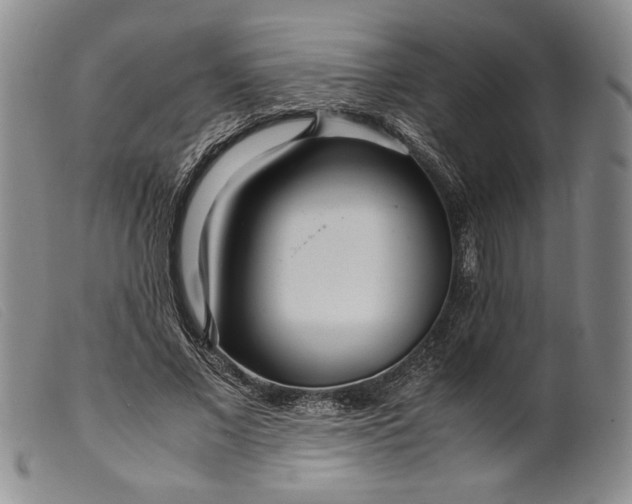 X0000099430685200805231654