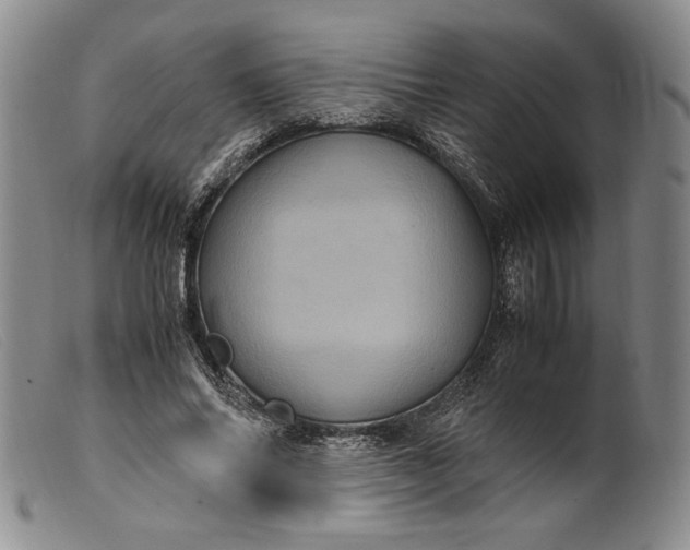 X0000099430686200805231654