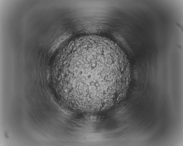 X0000099430687200805231653