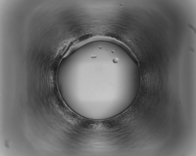 X0000099430688200805231653