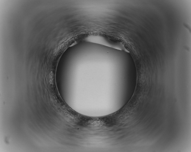 X0000099430689200805231653