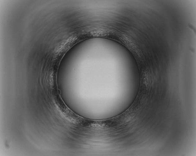 X0000099430690200805231653