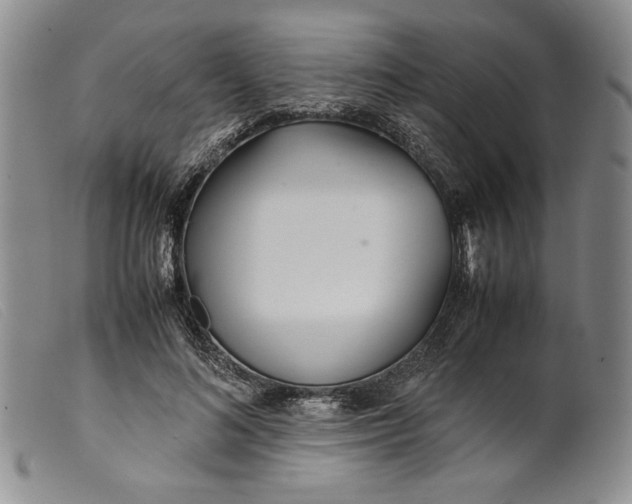 X0000099430692200805231653