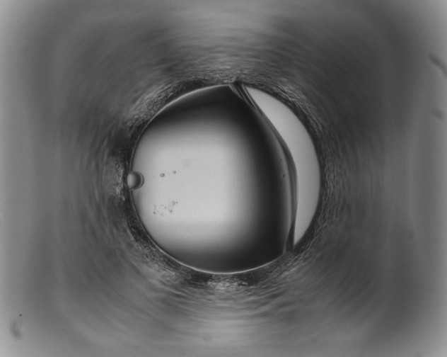 X0000099430693200805231653