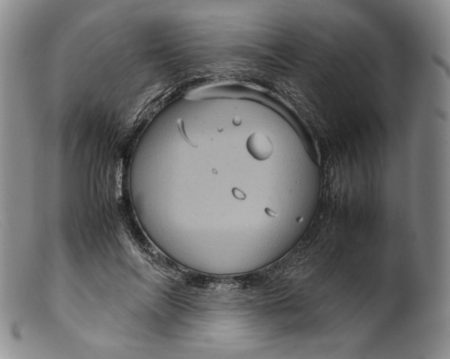 X0000099430694200805231653