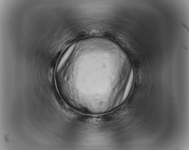 X0000099430695200805231653