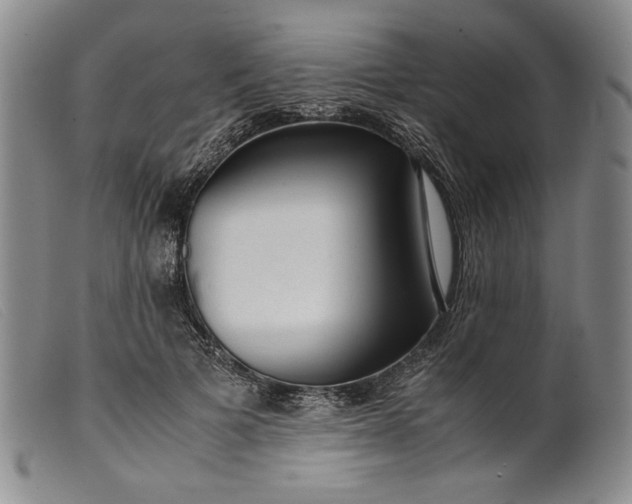 X0000099430697200805231653