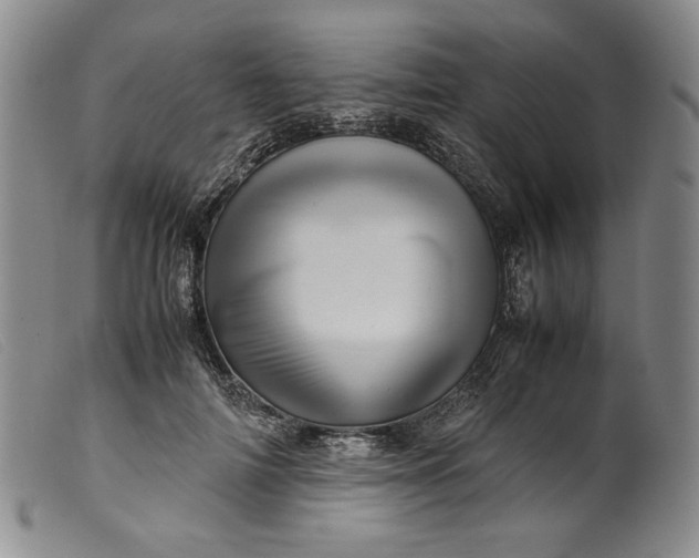 X0000099430698200805231653