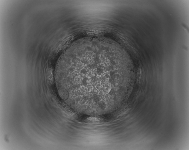 X0000099430699200805231653