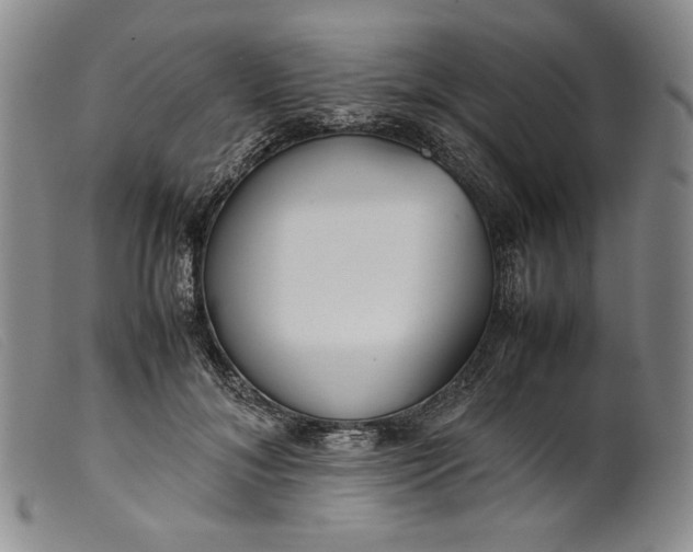 X0000099430700200805231653
