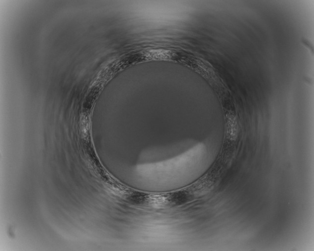 X0000099430701200805231653