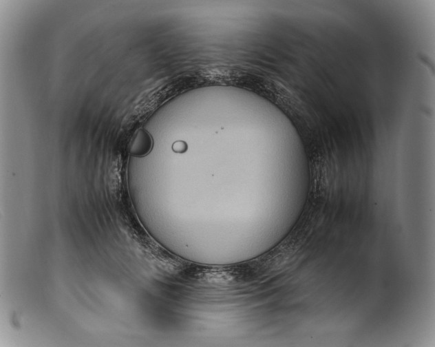X0000099430702200805231653