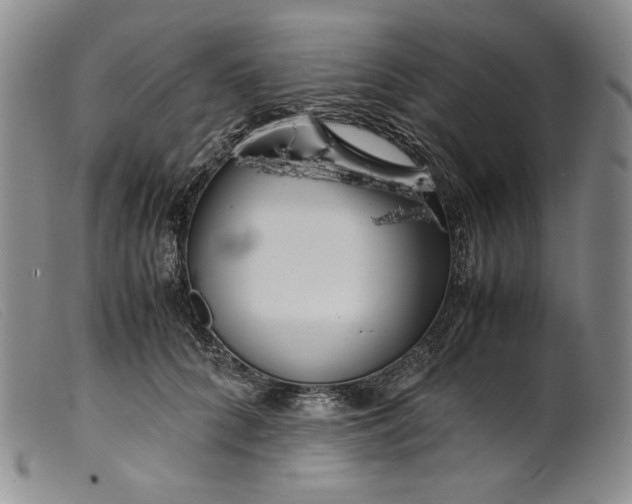 X0000099430704200805231653