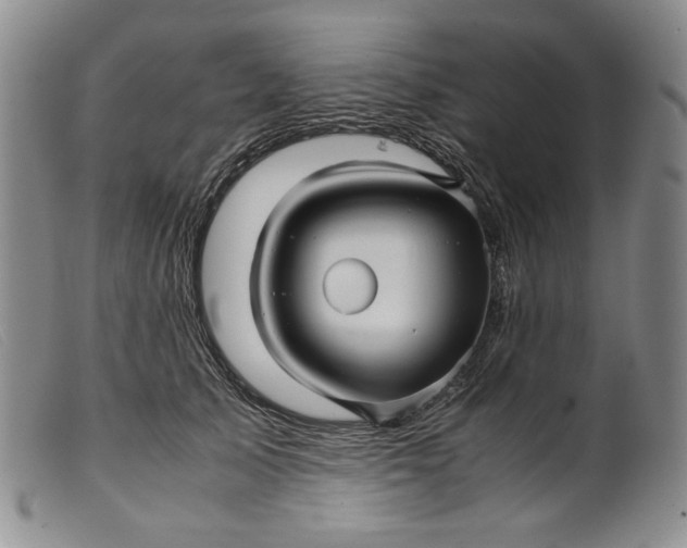 X0000099430705200805231653