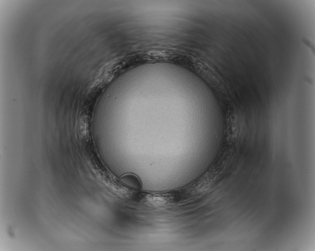 X0000099430706200805231653