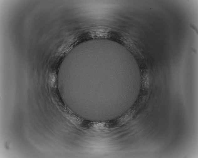 X0000099430709200805231653