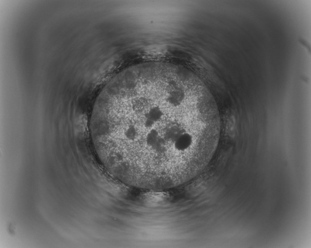 X0000099430711200805231653