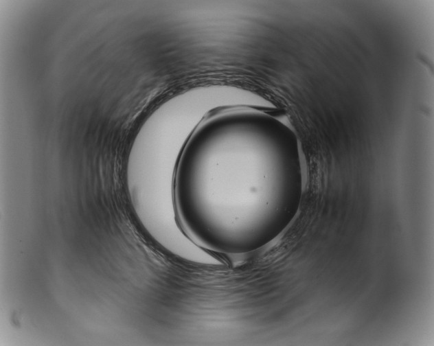 X0000099430712200805231653