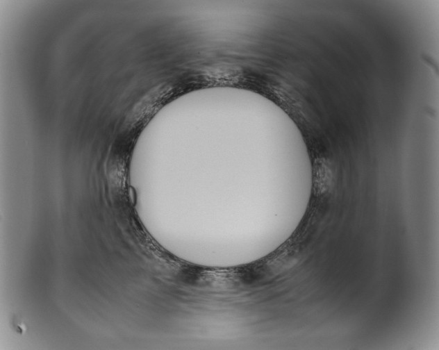 X0000099430713200805231653