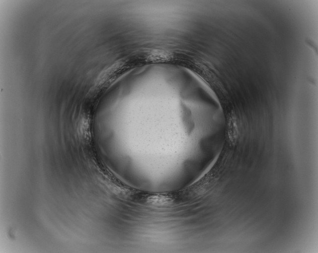 X0000099430714200805231653