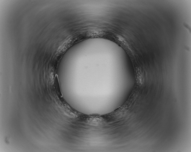 X0000099430716200805231653
