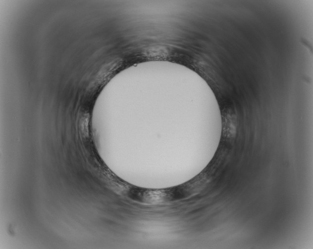 X0000099430717200805231653